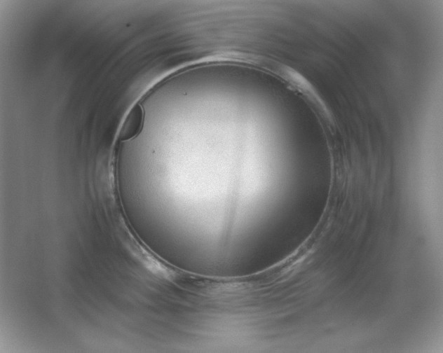 X0000067501292200604071216