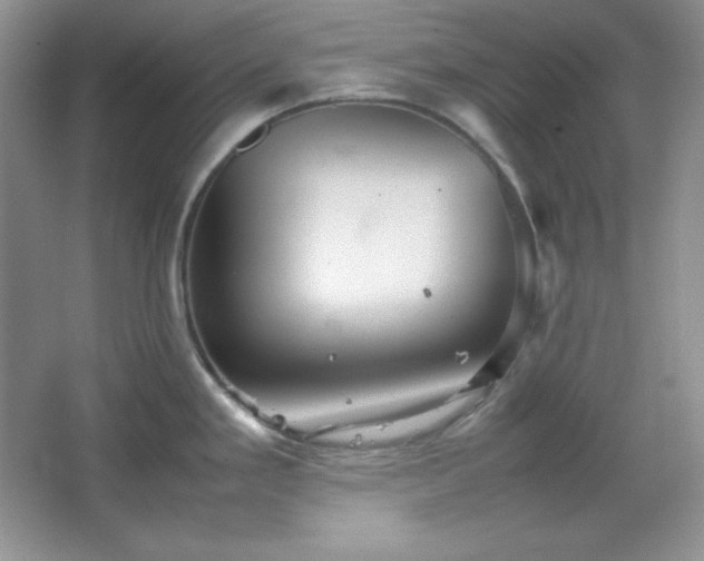 X0000067501293200604071216