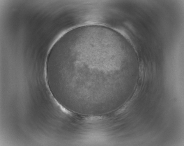 X0000067501294200604071216