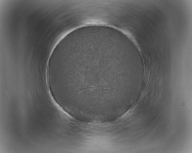 X0000067501295200604071216