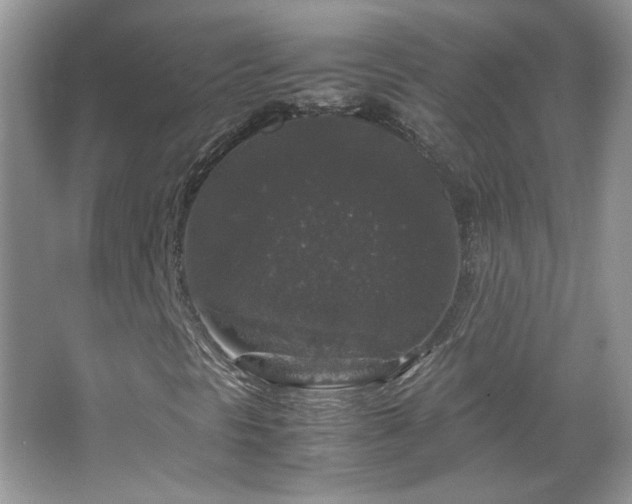 X0000067501297200604071216