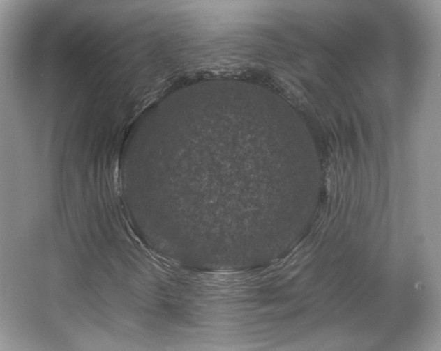 X0000067501298200604071216