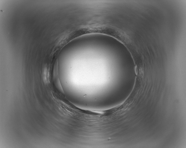 X0000067501300200604071216