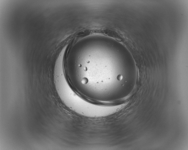 X0000067501301200604071216