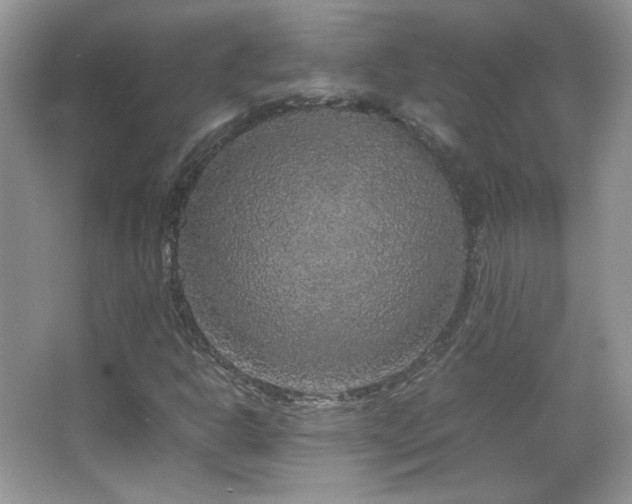 X0000067501302200604071216