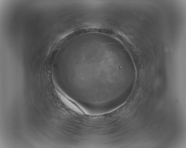 X0000067501303200604071216