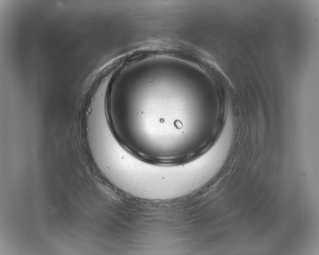 X0000067501304200604071216