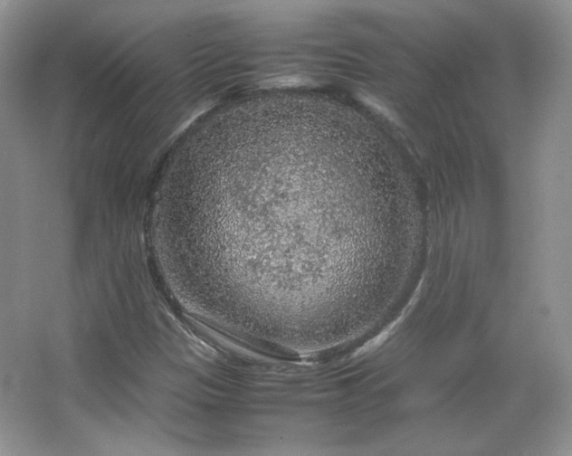 X0000067501305200604071216