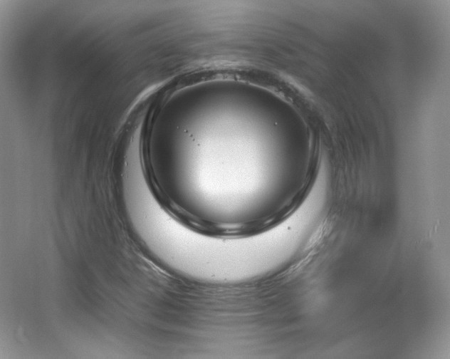 X0000067501306200604071216