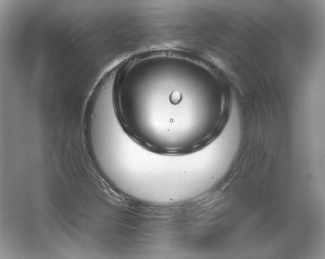 X0000067501308200604071216