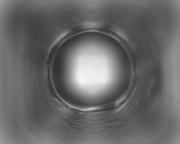 X0000067501309200604071216