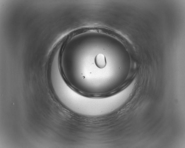 X0000067501311200604071216