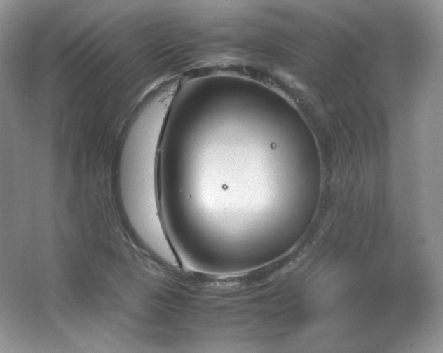 X0000067501313200604071216