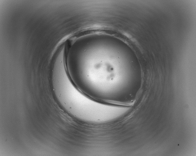 X0000067501314200604071216