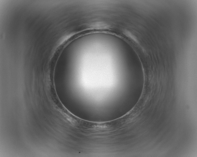 X0000067501315200604071216