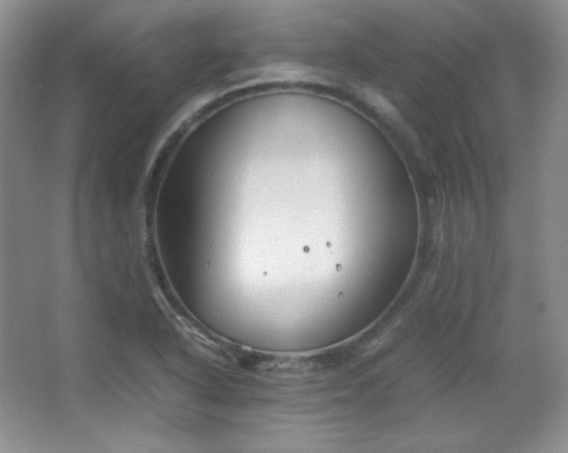 X0000067501318200604071216