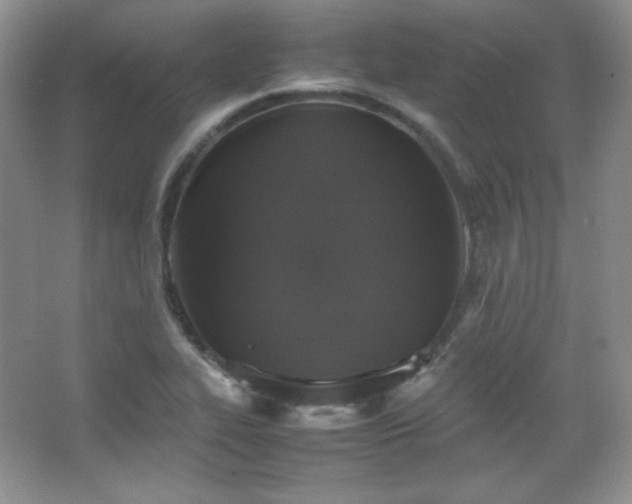 X0000067501319200604071216