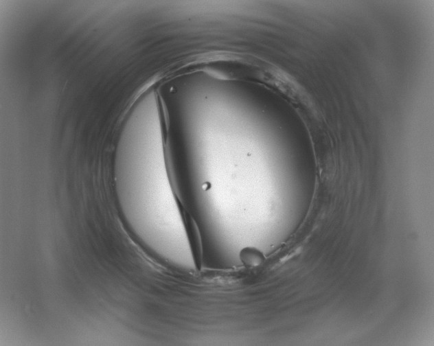 X0000067501321200604071216