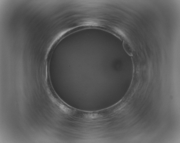 X0000067501323200604071216