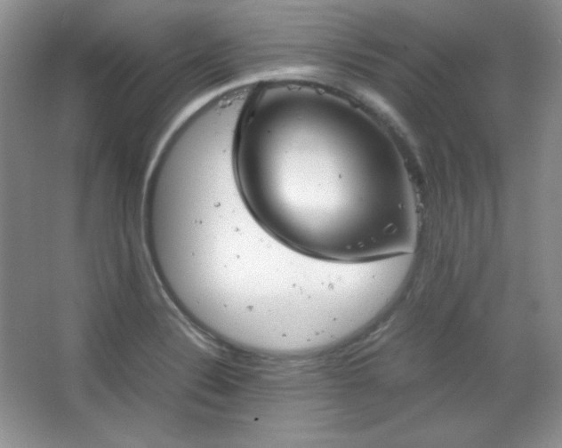 X0000067501324200604071216