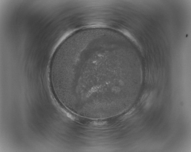 X0000067501325200604071216