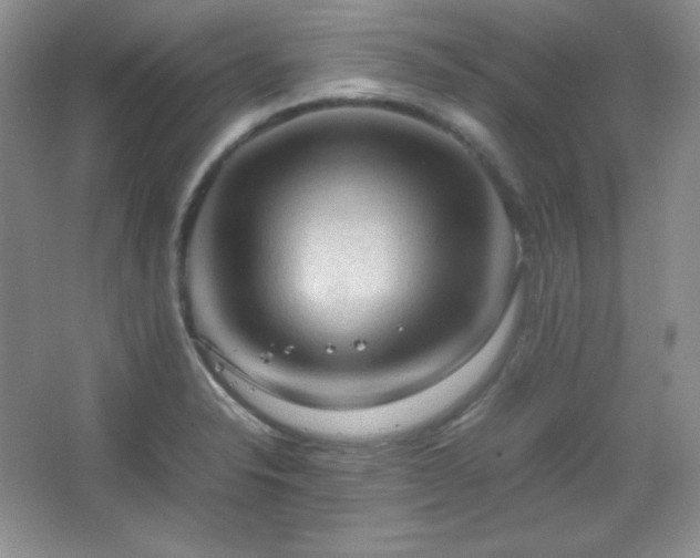 X0000067501326200604071216