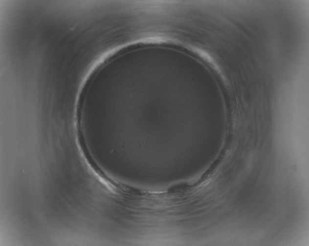 X0000067501327200604071216