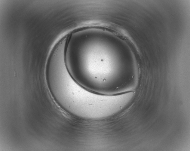 X0000067501328200604071216