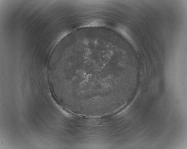 X0000067501329200604071216