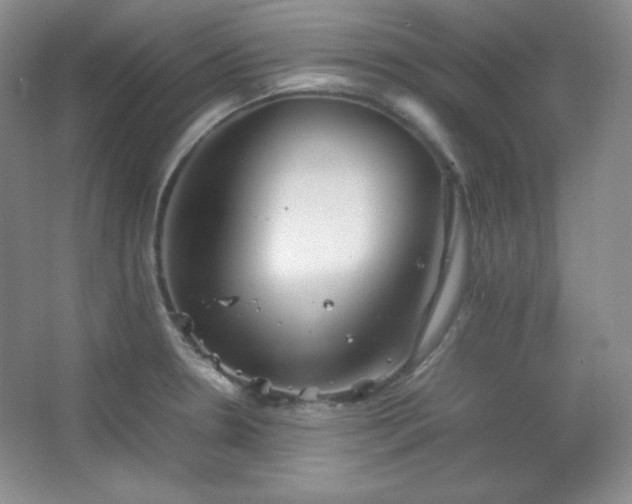 X0000067501330200604071216