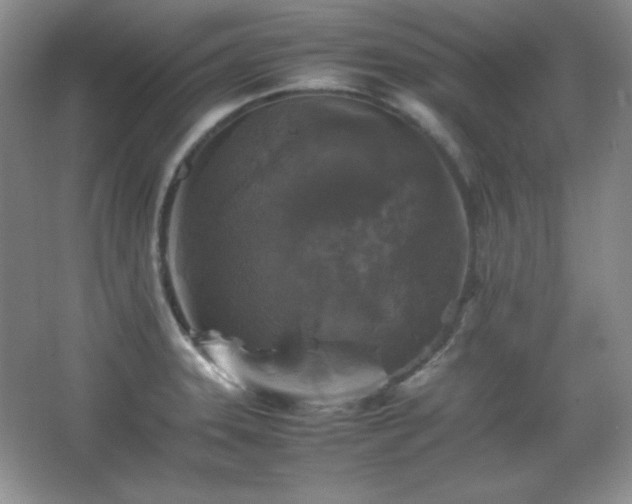 X0000067501331200604071216