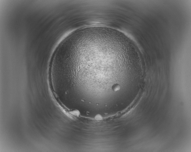 X0000067501333200604071216