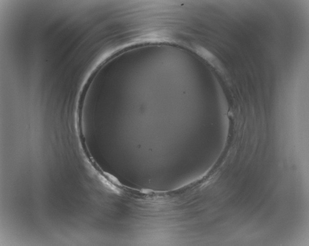 X0000067501334200604071216