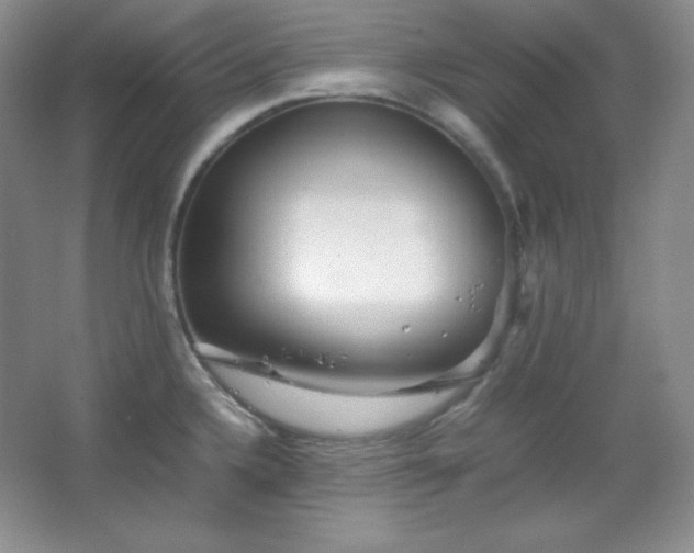 X0000067501336200604071216