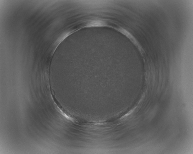 X0000067501337200604071216