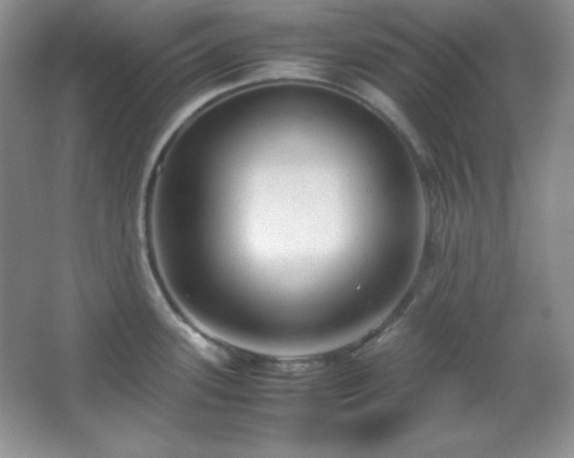 X0000067501339200604071216