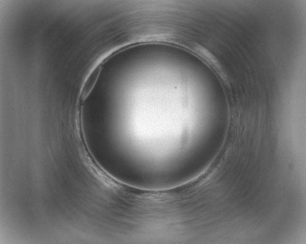 X0000067501340200604071216