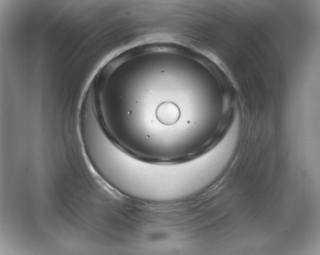 X0000067501342200604071216