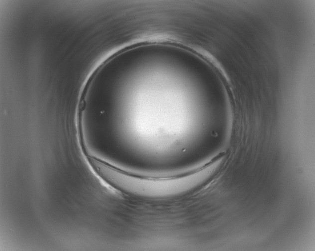 X0000067501343200604071216