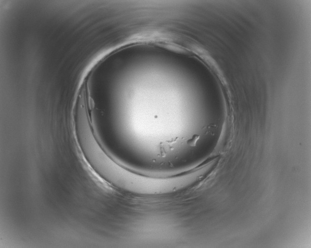 X0000067501344200604071216