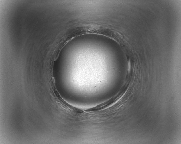 X0000067501345200604071216