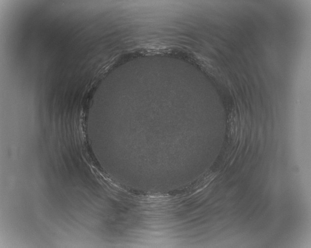 X0000067501346200604071216