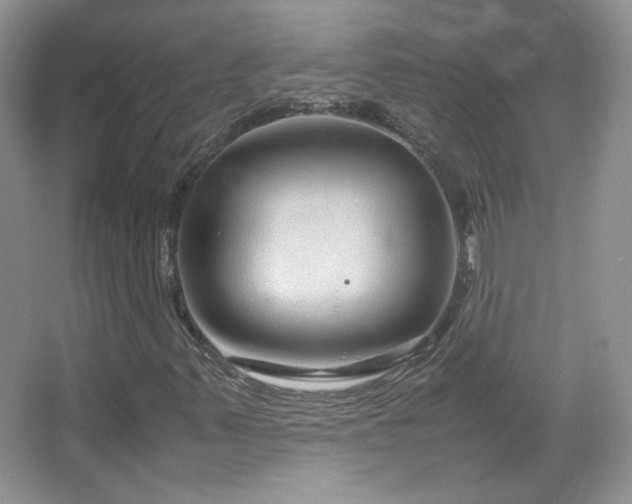 X0000067501347200604071216