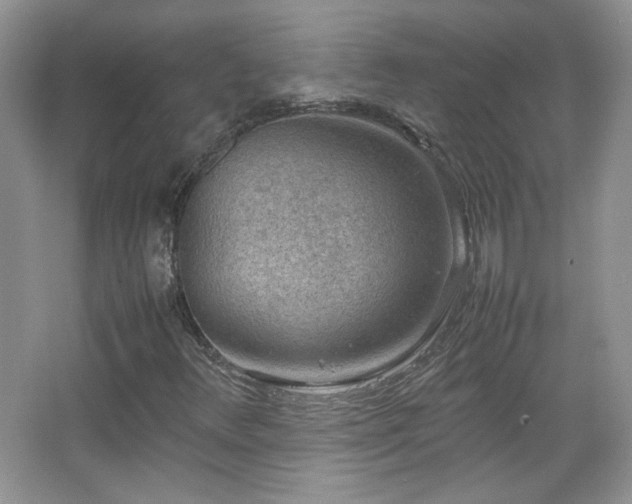 X0000067501348200604071216