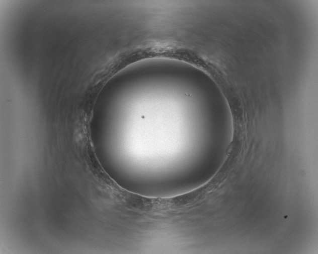 X0000067501349200604071215