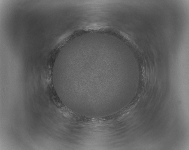 X0000067501350200604071215