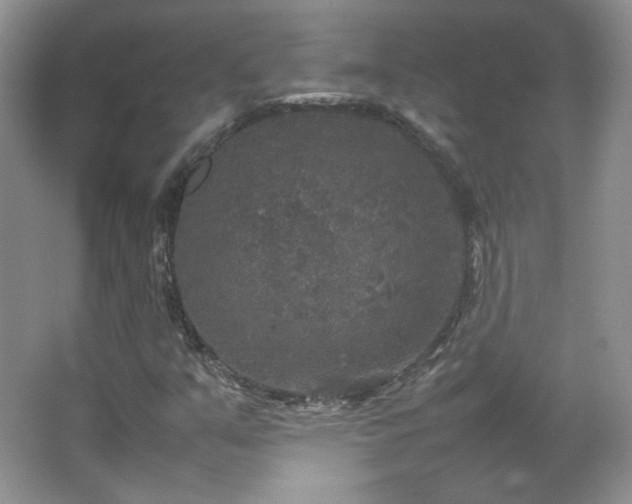 X0000067501351200604071215