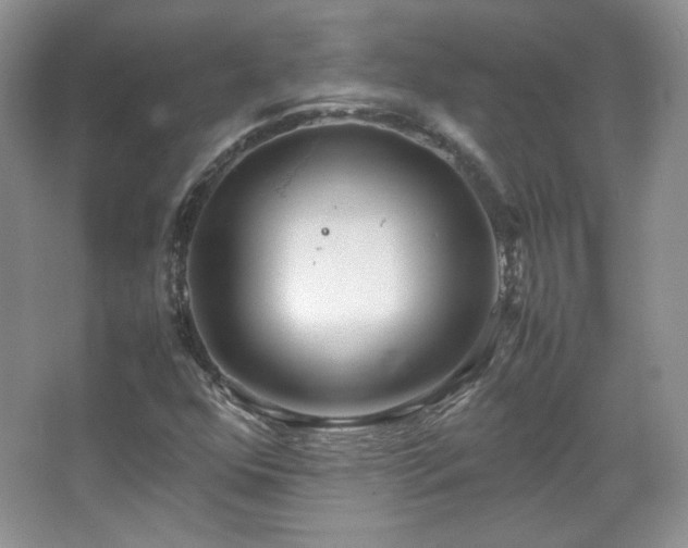 X0000067501352200604071215