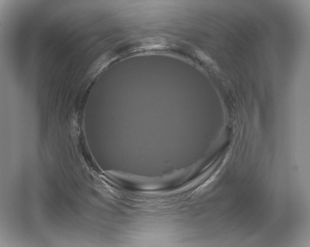 X0000067501353200604071215