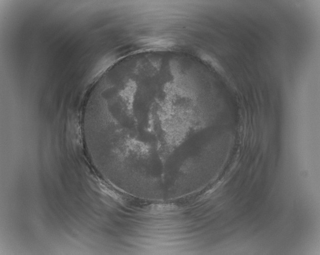 X0000067501354200604071215